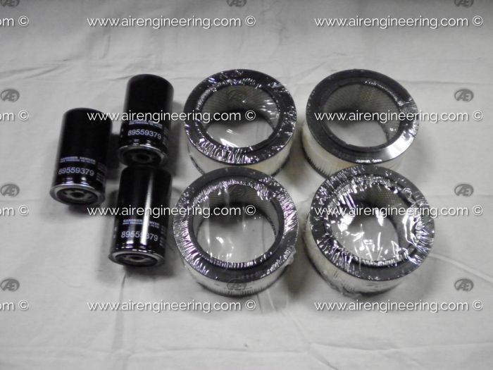 Champion 300EFD6013 Maintenance Kit